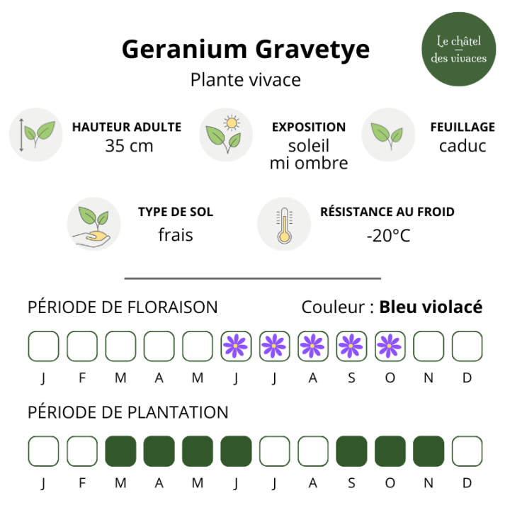 Geranium himalayense Gravetye