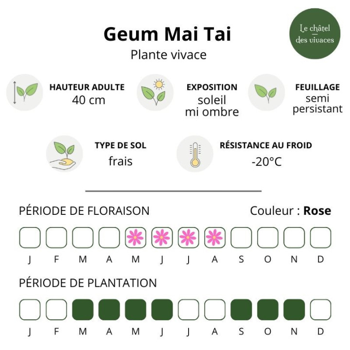 Geum Mai Tai