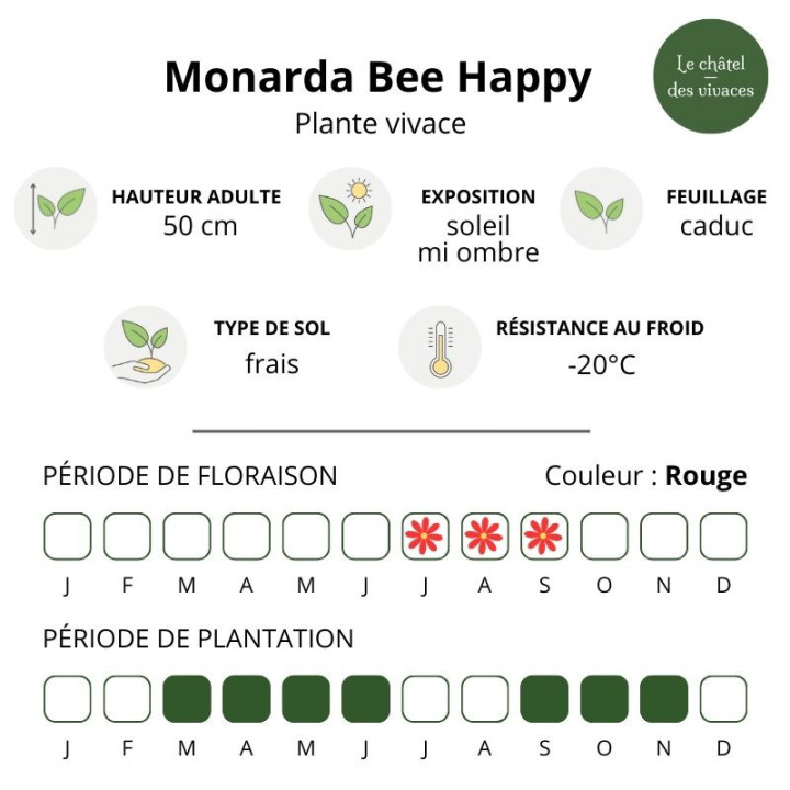 Caractéristiques de la Monarda Bee Happy