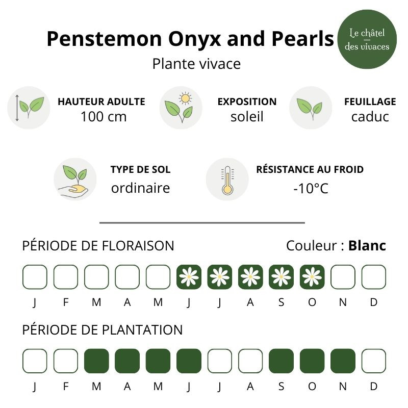 Pierre Onyx Noire 14,19 Carats - Taille Fantaisie De Qualité - Inde - Neuf Sans Boîte