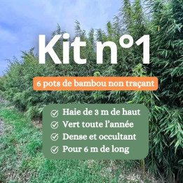 Kit haie de bambou non-traçant n°1