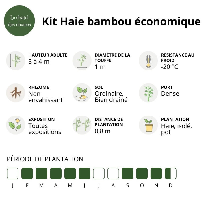 Kit Haie bambou économique