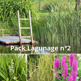 Pack Lagunage n°2