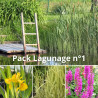 Pack Lagunage n°1