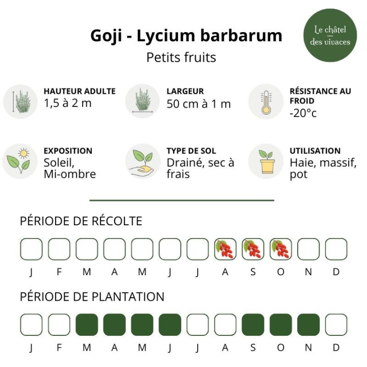 Goji