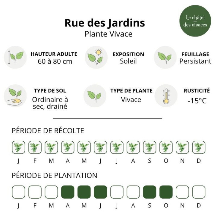 Rue des jardins
