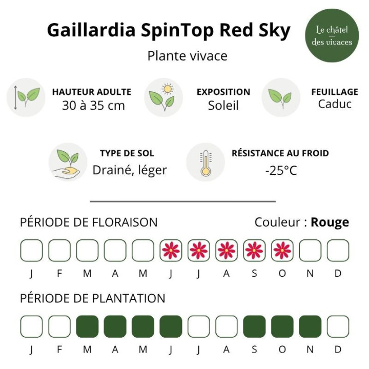 Caractéristiques de la Gaillardia aristata SpinTop Red Sky