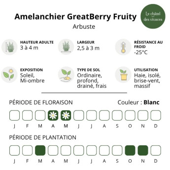 Caractéristiques de l'Amelanchier alnifolia GreatBerry Fruity