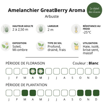 Caractéristiques de l'Amelanchier alnifolia GreatBerry Aroma