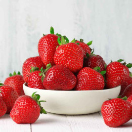 Fraisier Charlotte