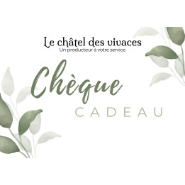 Chèque cadeau