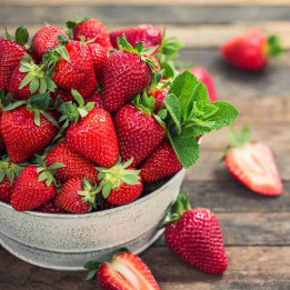 Fraisier Cirano