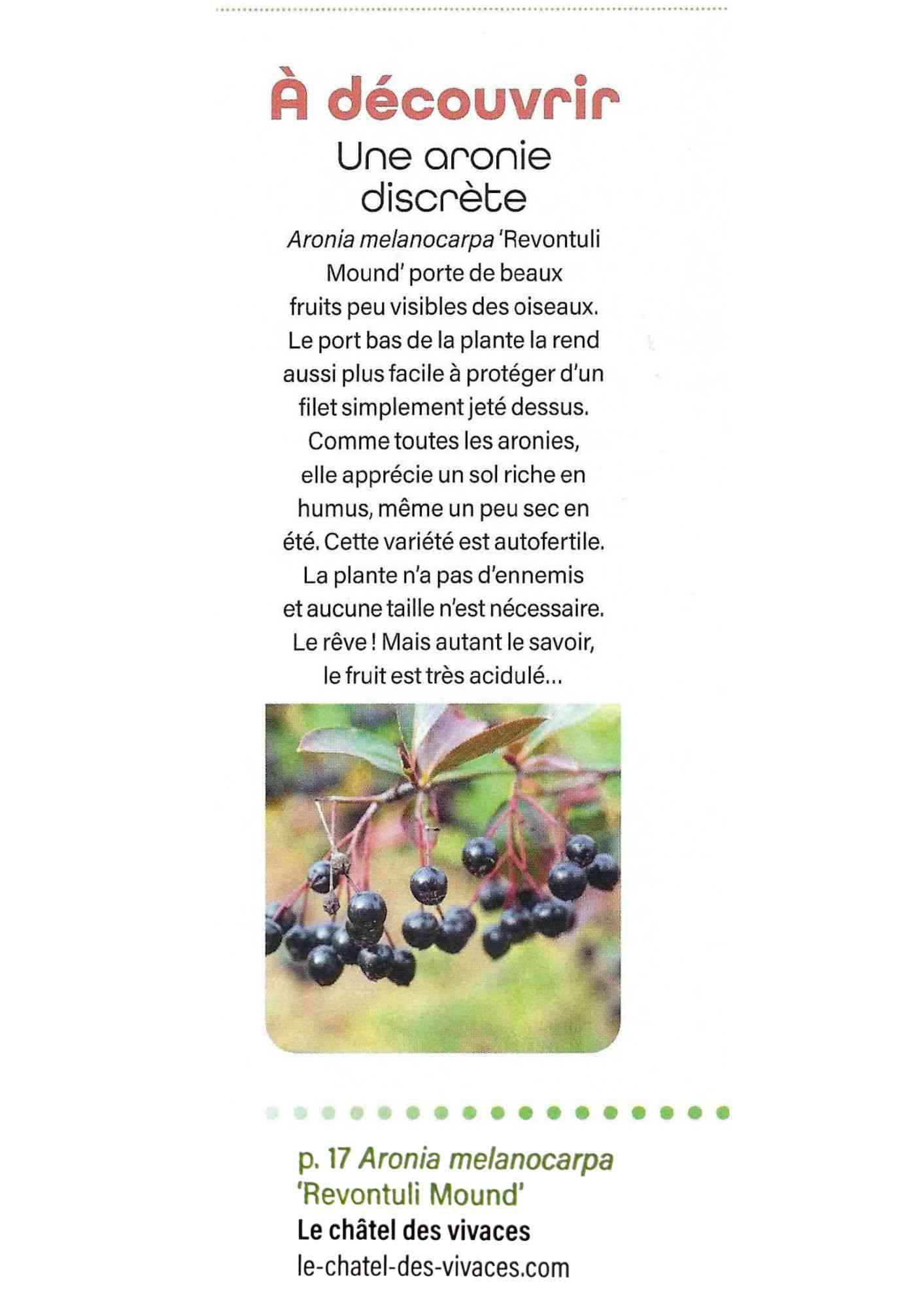Détente Jardin - Aronia Revontuli Mound