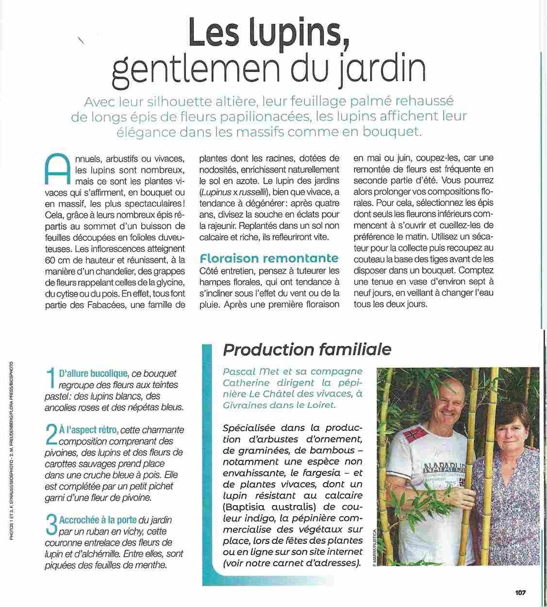 Rustica - Les Lupins