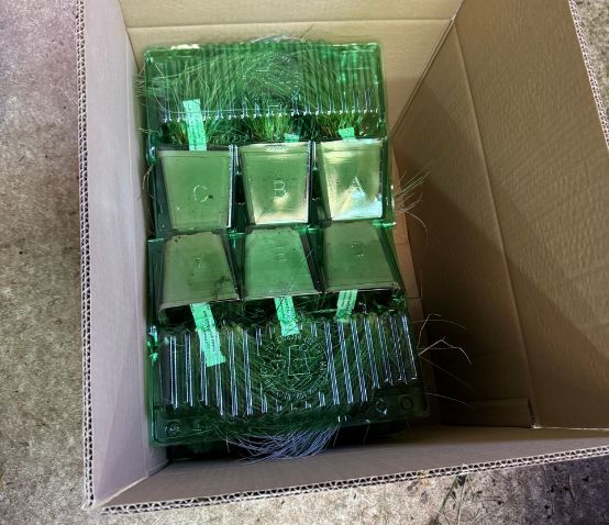 Les plantes vivaces sont mises dans des coques plastiques recyclées pour les protéger pendant le transport